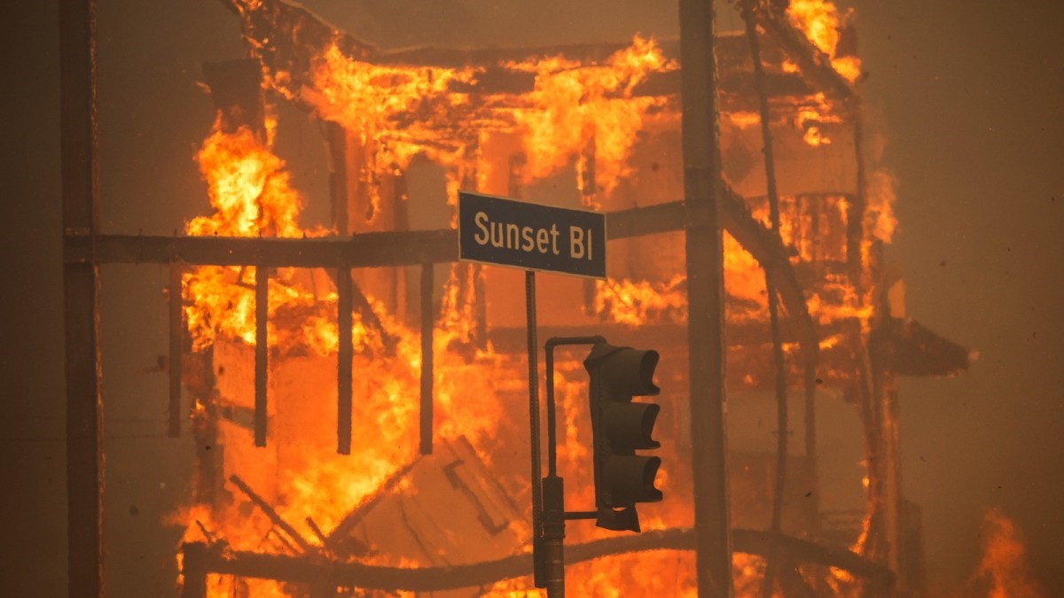Factcheck_california_fire_cover_02.05.jpg